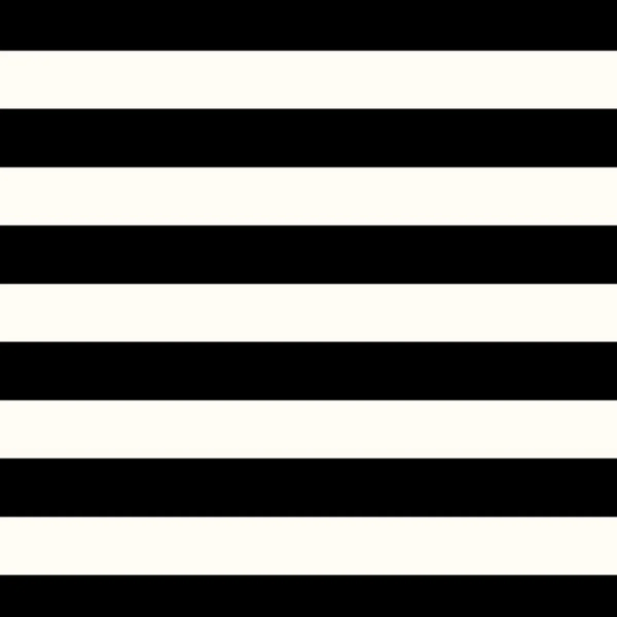 Clipfolio: Black Stripe - Image 6
