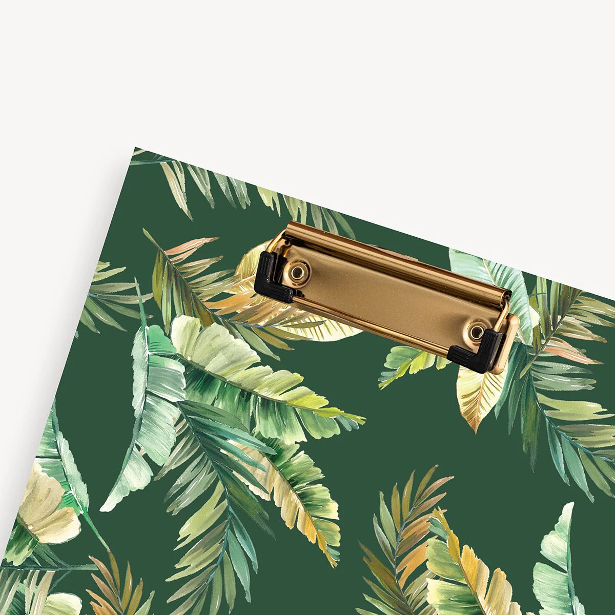 Clipfolio: St. Barts - Image 4
